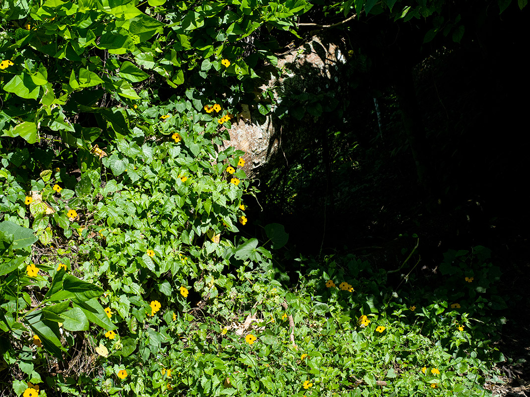 ac2412-cu-bruja-436-1