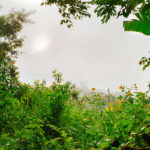 ac2412-cu-bruja-783-1-2