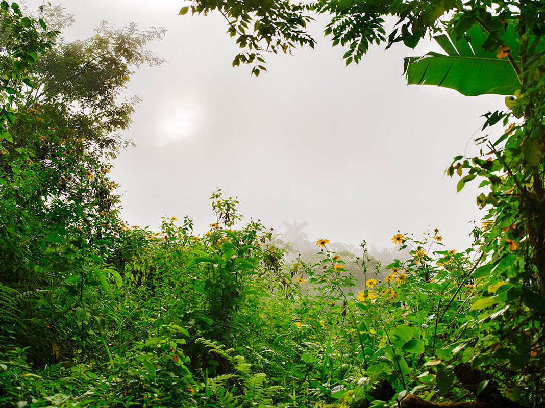 ac2412-cu-bruja-783-1-2