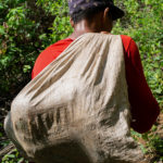 ac2510-cu-bruja-2807-1