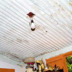 ac2504-cu-bruja-1475-1