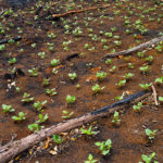 ac2504-cu-bruja-457-1