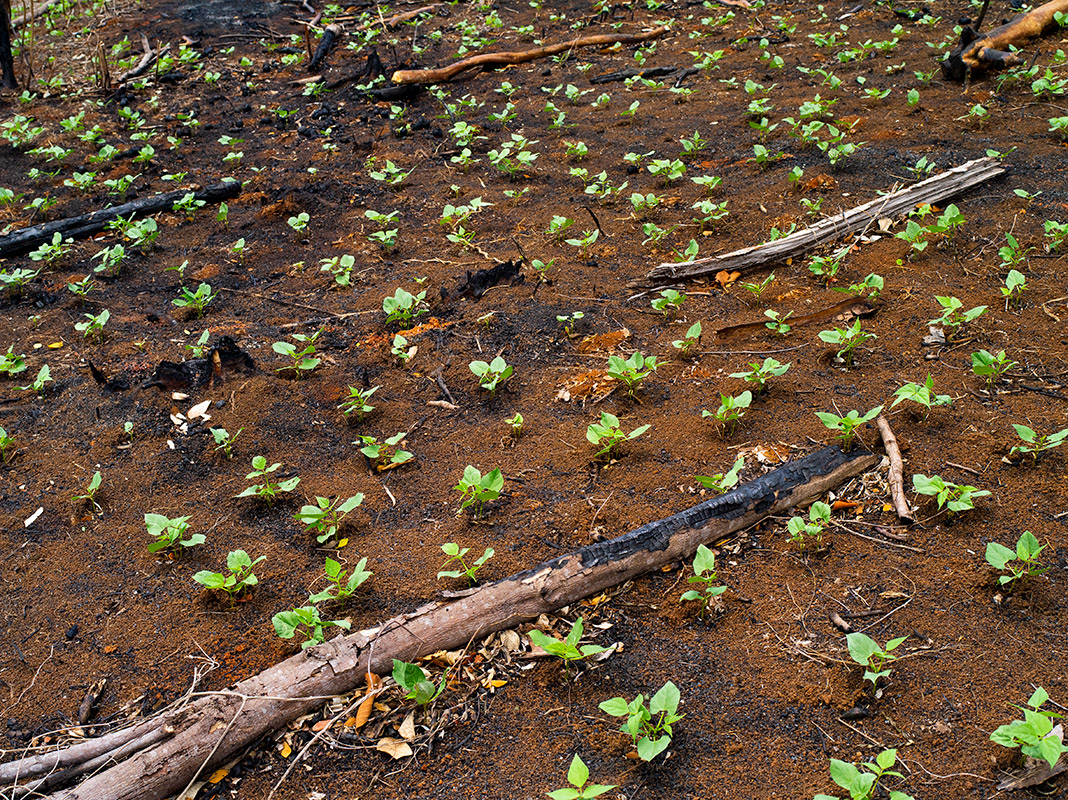 ac2504-cu-bruja-457-1