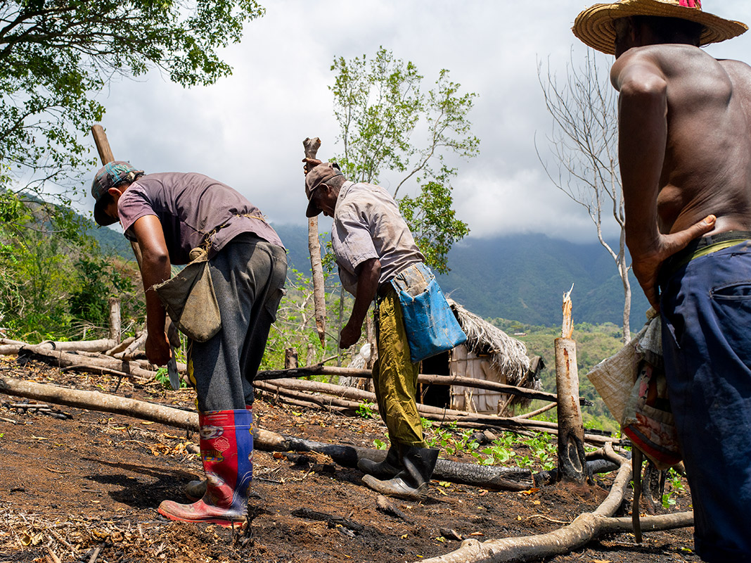 ac2504-cu-bruja-661-1