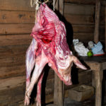 ac2510-cu-bruja-2624-1HR